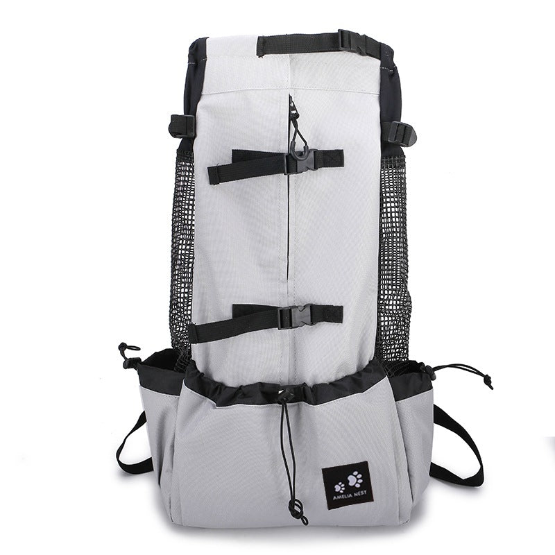 Small dog sitting inside the carrier backpack