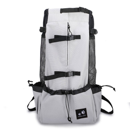 Small dog sitting inside the carrier backpack