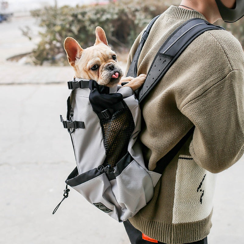 Dog carrier backpack in blue, worn on the back