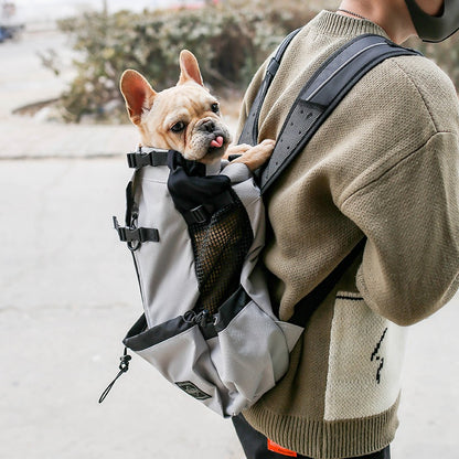 Dog carrier backpack in blue, worn on the back