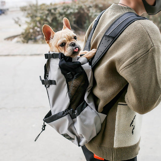 Dog carrier backpack in blue, worn on the back