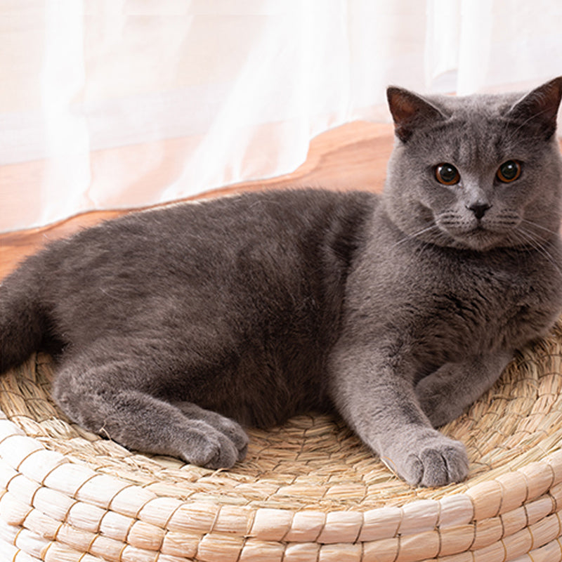 Woven Straw Cat Bed — Domed, 35 cm