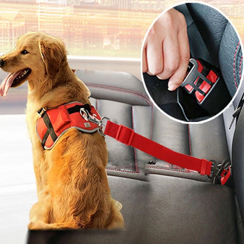 Adjustable Dog Seat Belt for Car | Huellitas™