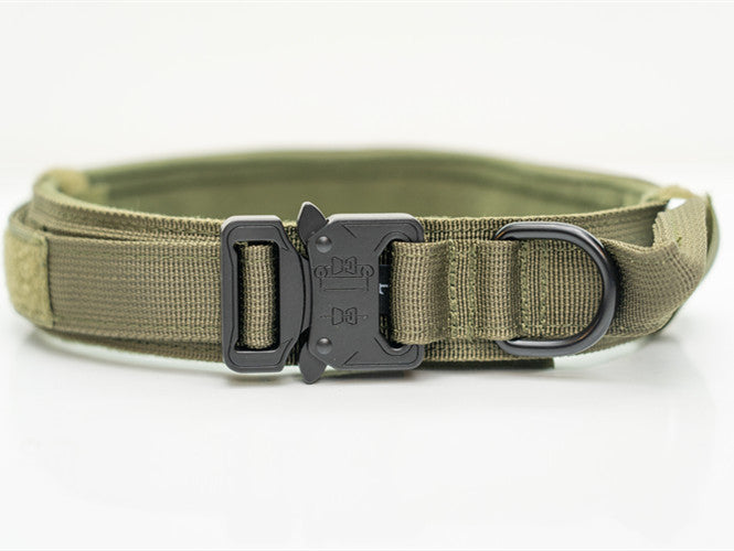 Nylon Dog Collar — Medium & Large Breeds