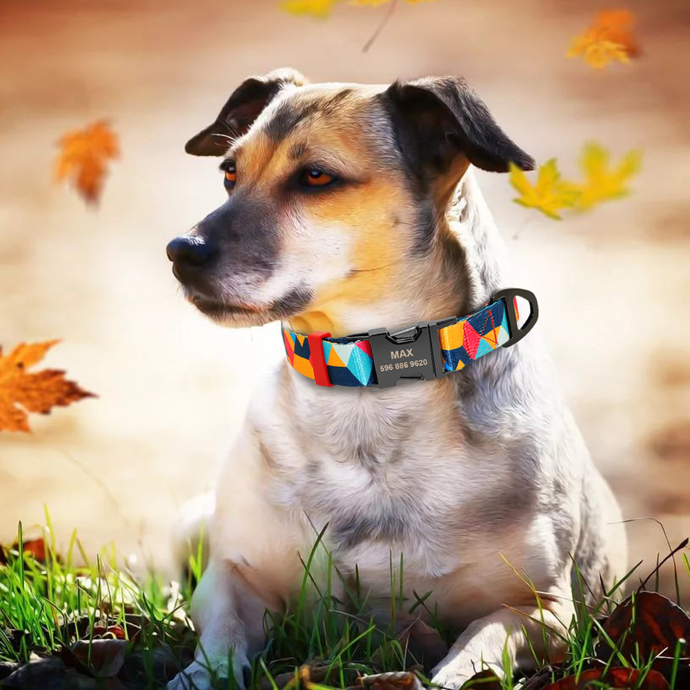 Personalized Dog Collar & Leash Set with Engraved Nameplate | Huellitas™