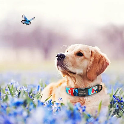 Personalized Dog Collar & Leash Set with Engraved Nameplate | Huellitas™