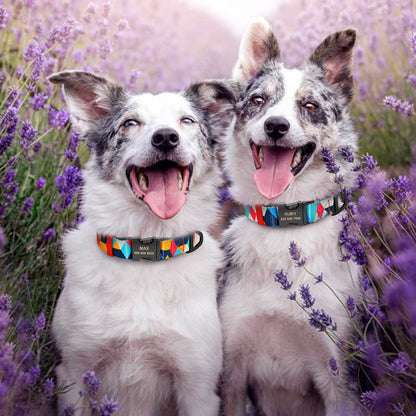 Personalized Dog Collar & Leash Set with Engraved Nameplate | Huellitas™
