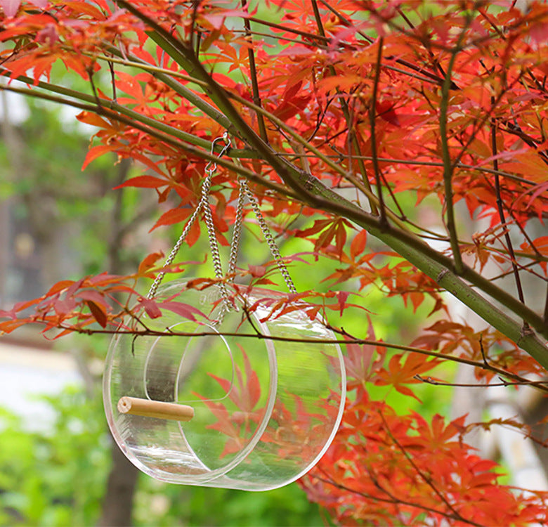 Clear Acrylic Hanging Bird Feeder – 1 L | Huellitas™
