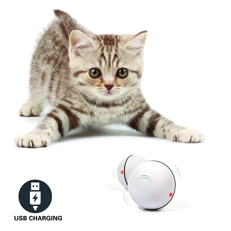 Self-Rolling LED Pet Ball — Battery or USB Options