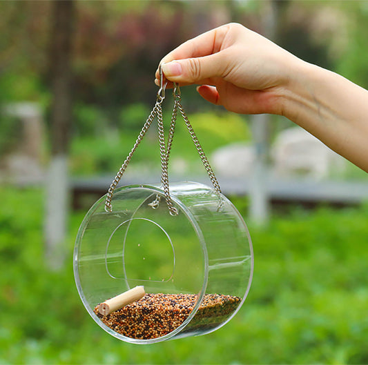 Clear acrylic bird feeder mounted on a window