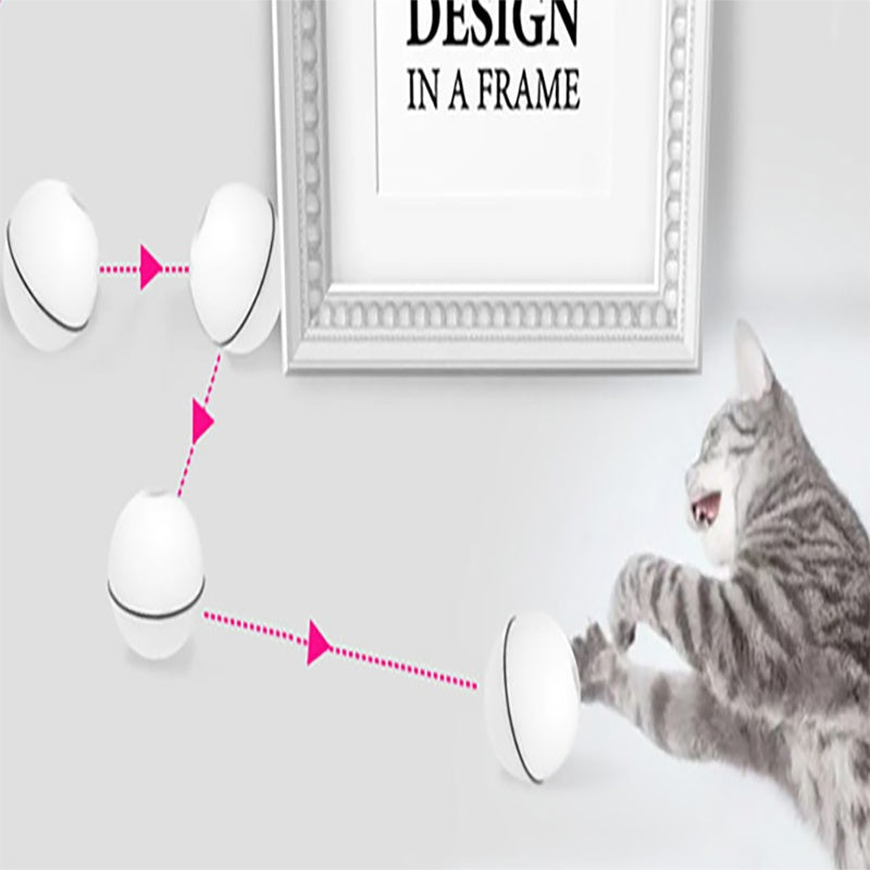 Self-Rolling LED Pet Ball — Battery or USB Options
