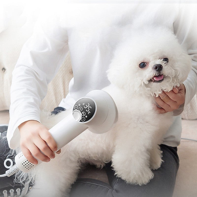 2-in-1 Pet Hair Dryer & Slicker Brush | Huellitas™