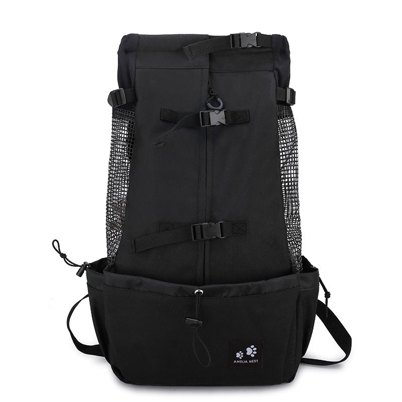Carrier backpack size and dimension guide