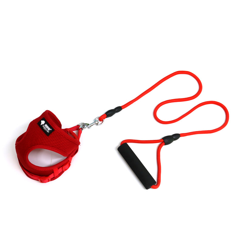 Harness & Lead Set — Small Breeds, 4–10 kg