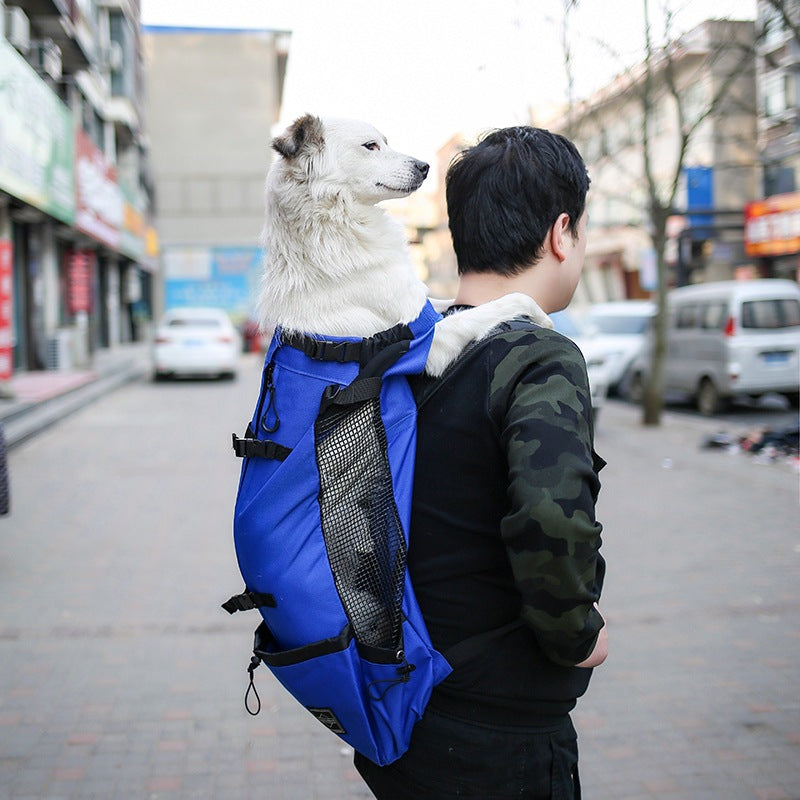 Carrier backpack in grey