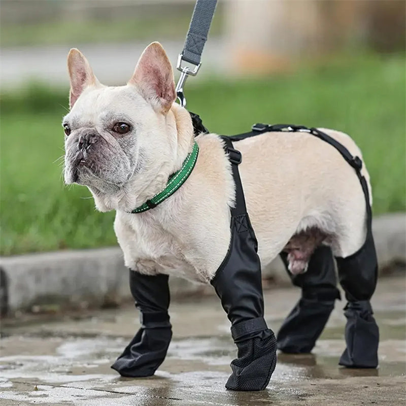 Adjustable Dog Boots – 4-Piece Set | Huellitas™
