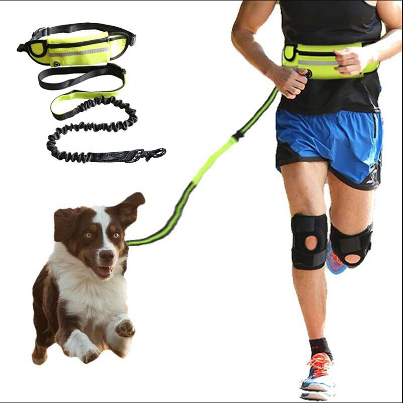 Hands-free dog lead waist belt in black