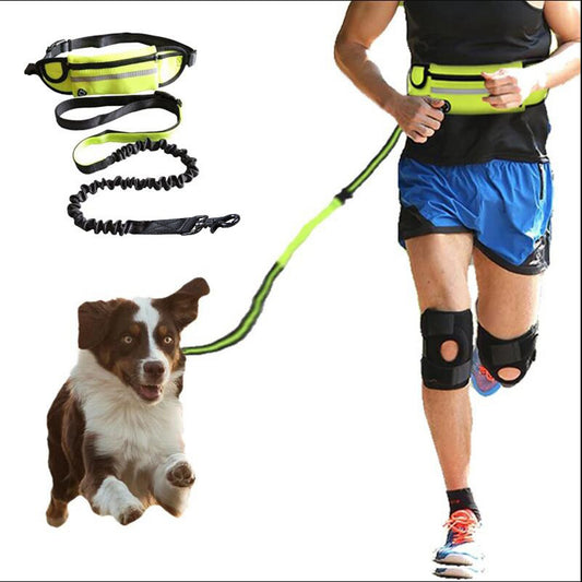 Hands-free dog lead waist belt in black
