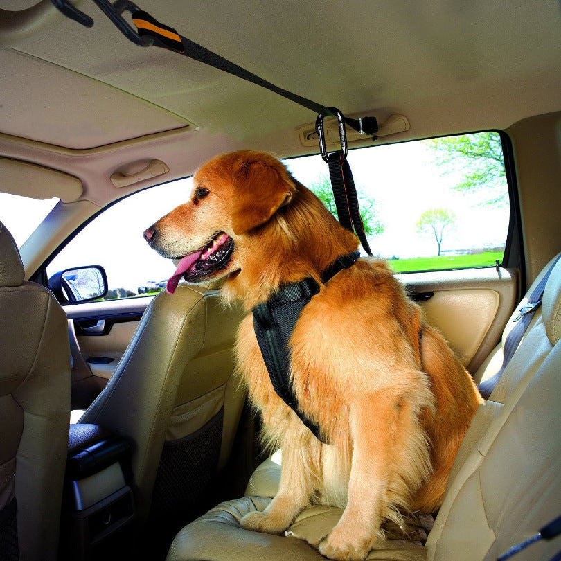 Adjustable Dog Car Restraint Tether | Huellitas™