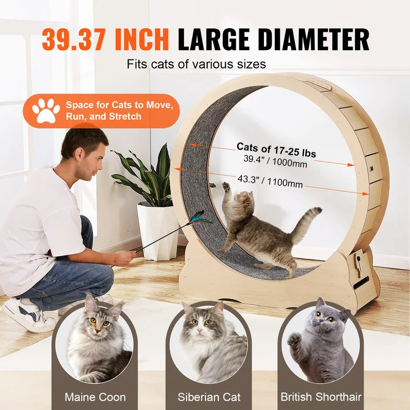43.3 inch wooden cat exercise wheel shown with large cat breeds