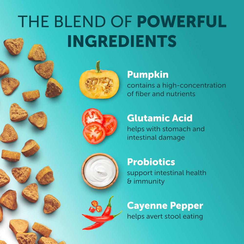 Dog Probiotic Treats — 180 Chews | Huellitas™
