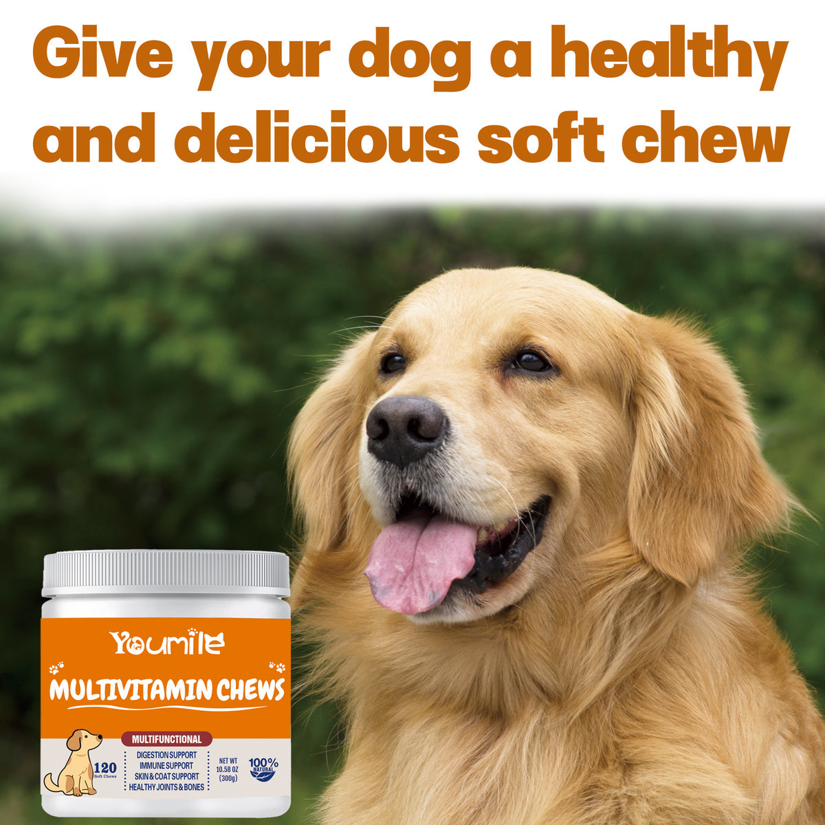 Dog Multivitamin Chews — 300 g | Huellitas™