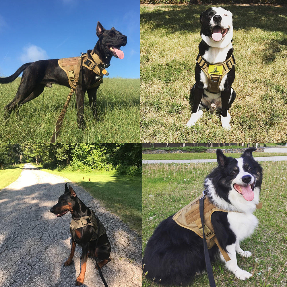Adjustable Tactical Dog Harness with Back Handle | Huellitas™