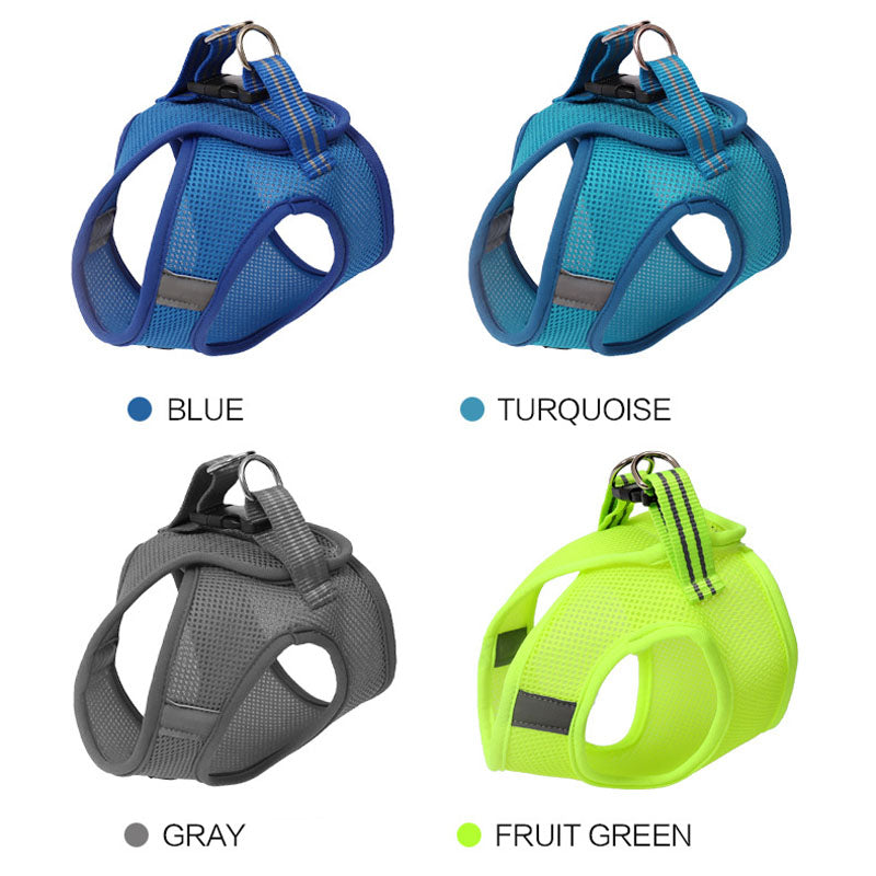 Escape-Resistant Cat Harness | Huellitas™
