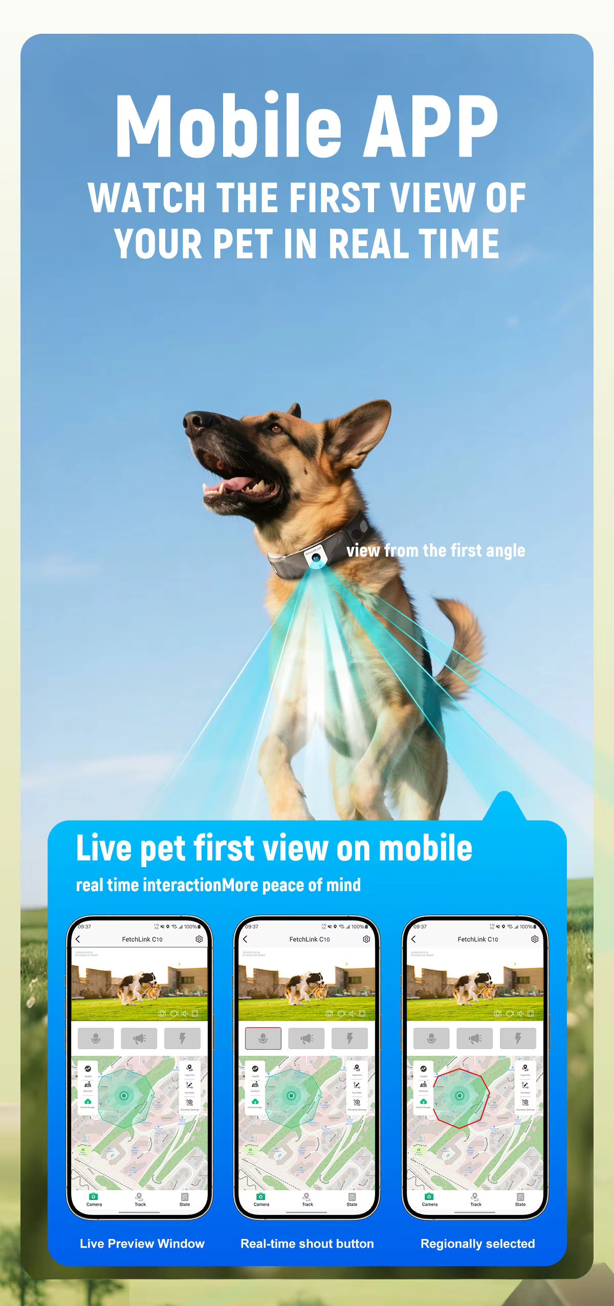 Smart Pet Activity Tracker Collar with App | Huellitas™