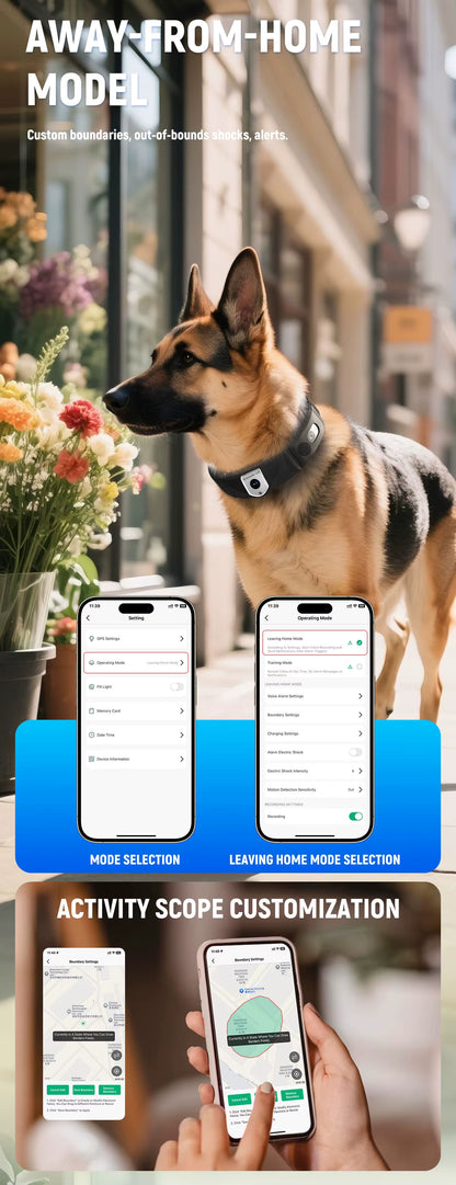 Smart Pet Activity Tracker Collar with App | Huellitas™