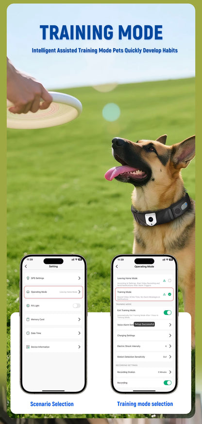Smart Pet Activity Tracker Collar with App | Huellitas™