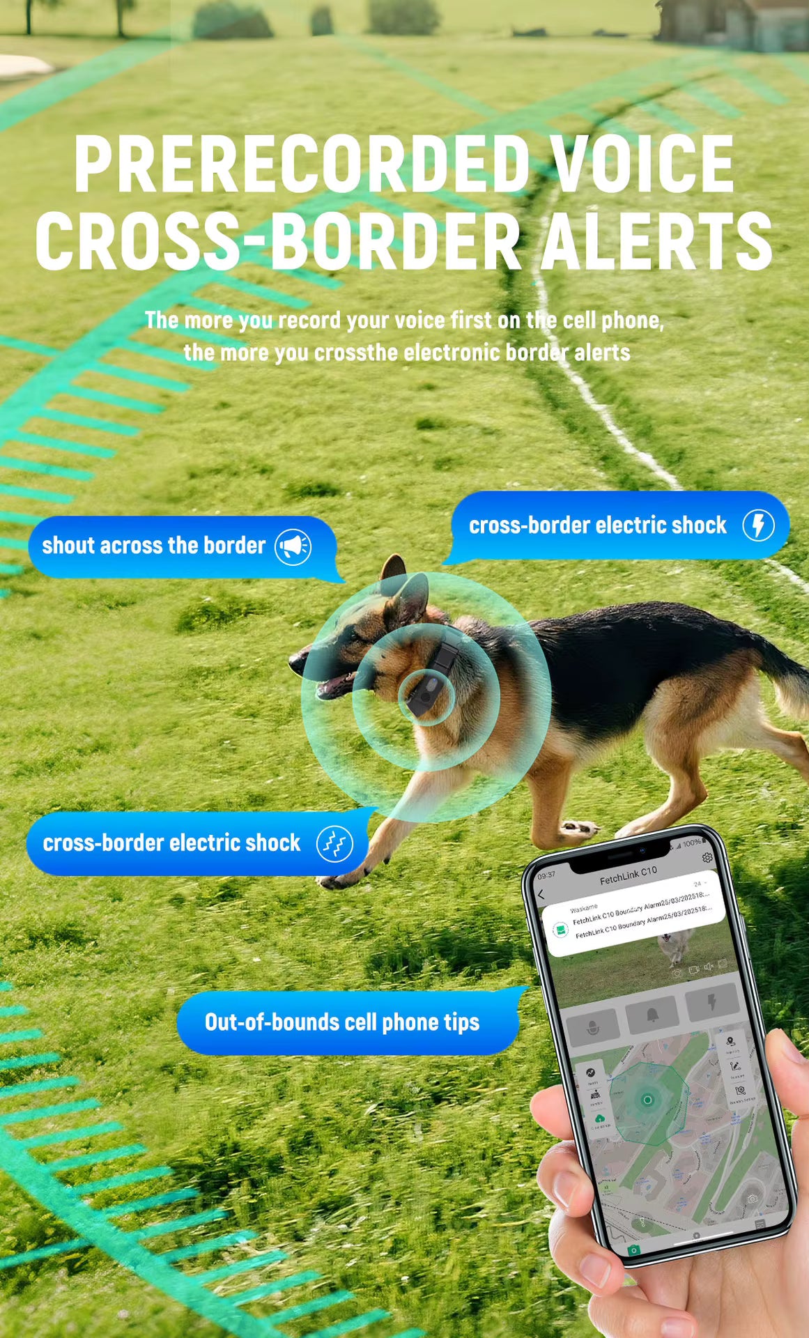 Smart Pet Activity Tracker Collar with App | Huellitas™