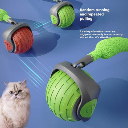 Cat playing with the self-rolling ball