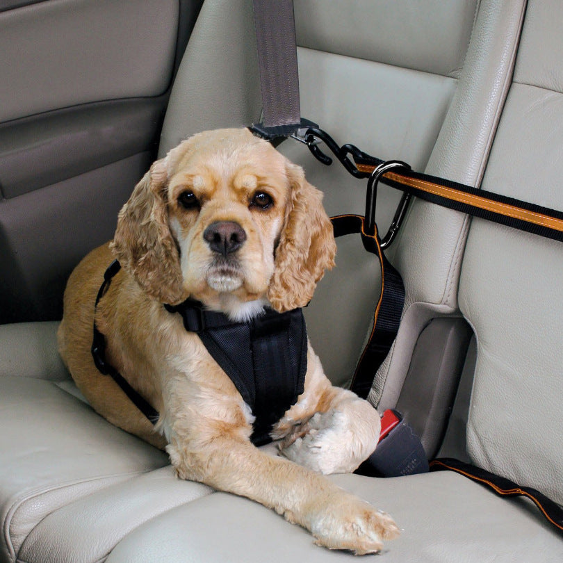Adjustable Dog Car Restraint Tether | Huellitas™