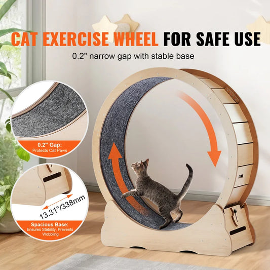 Cat using a natural wood exercise wheel with narrow safety gap and wide stable base