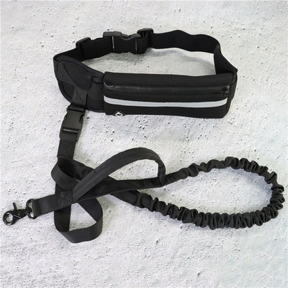 Waist belt showing the phone pocket