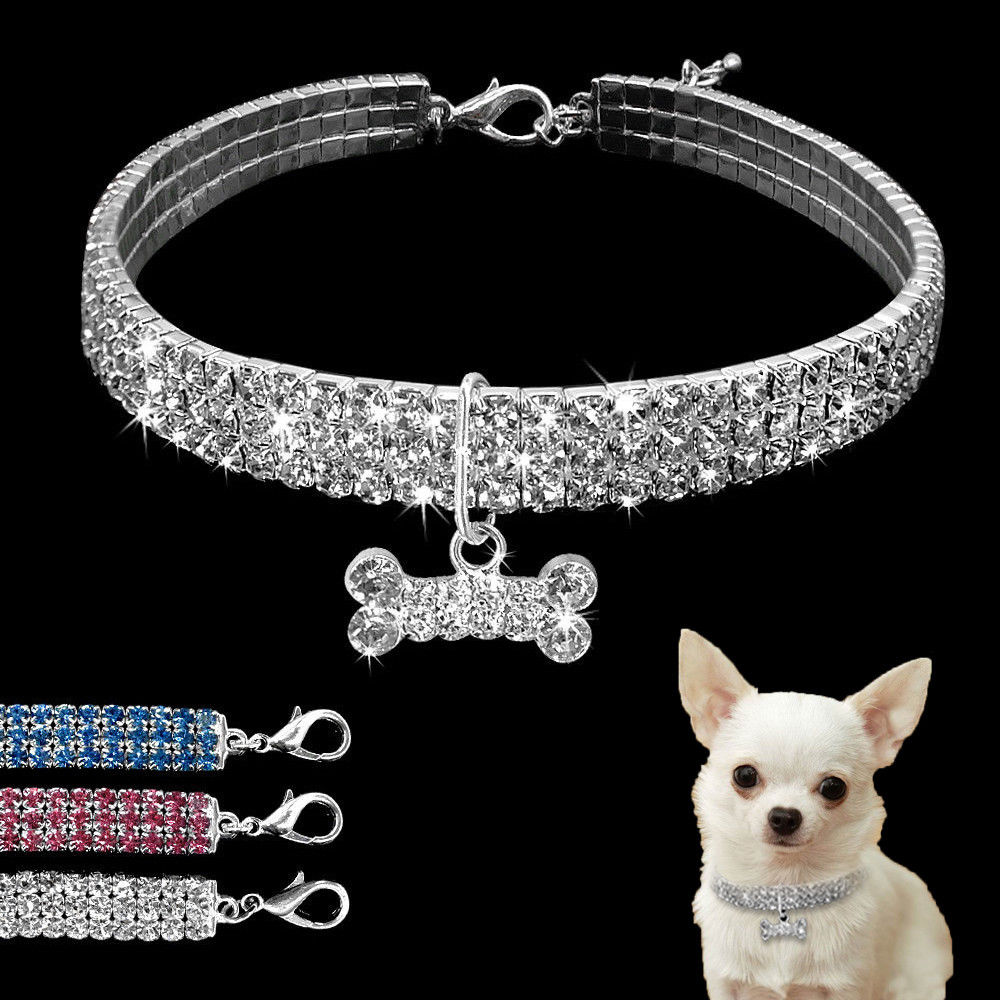 Rhinestone Collar — Small Breeds & Cats