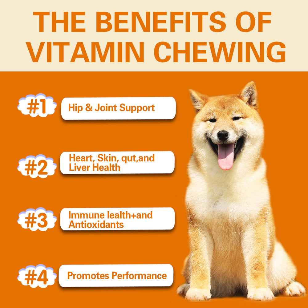 Dog Multivitamin Chews — 300 g | Huellitas™