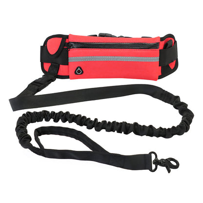 Clip and hardware detail on the dog lead